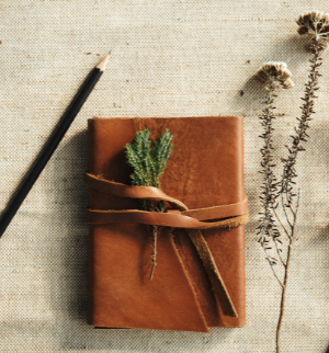 Consultation Bundle: 3 Follow-Up Sessions