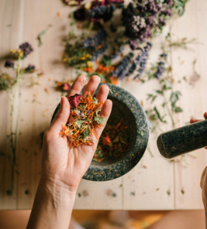 Initial Herbal Consultation