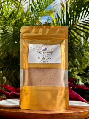 Mushroom Cacao by The Herbal Crow