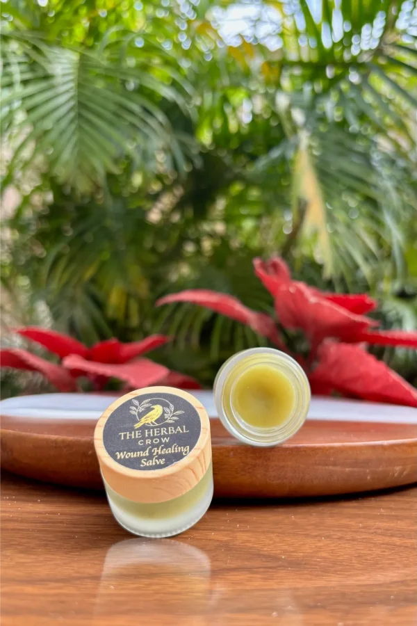 Wound Healing Salve by The Herbal Crow